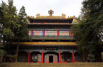 操迪丽热巴屁眼儿：明星互动乐园：迪丽热巴带你畅游趣味减压新天地-3