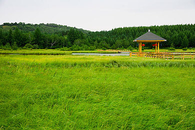 苹果手机使命召唤如何登录国际服：畅游全球战场，苹果玩家轻松解锁使命召唤国际服体验-3