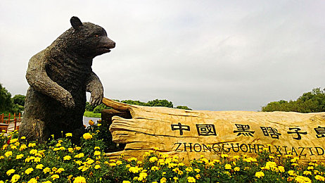 被女同学用手玩jiji：校园风波：青春探索，性教育之路-2