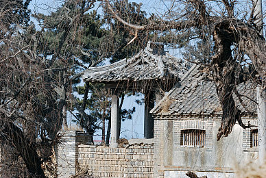 3p故事：网络新风尚下的心灵守护：揭秘“亲情、友情、爱情”故事对青少年心理健康的影响与引导策略-2