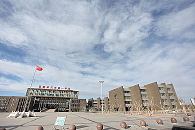 水蜜桃好甜蜜：桃香四溢，甜蜜绽放，共享自然馈赠之旅