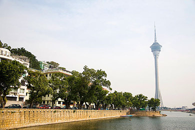 蜜桃传媒禁18网站在线观看：奇幻冒险之旅，绿色守护下的《蜜桃小镇》解锁攻略大揭秘-2