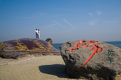 雏鸟圆百万少女的梦：梦幻之旅助力青春梦，伙伴同行战江湖-3