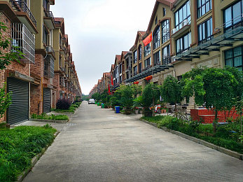 一亲三叉：科技与文化交汇火花，＂一亲三叉＂活动探无限可能-3