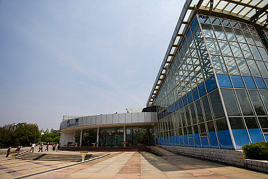 男女差痛声软件：笑声减压，趣味声场，互动解压神器-3