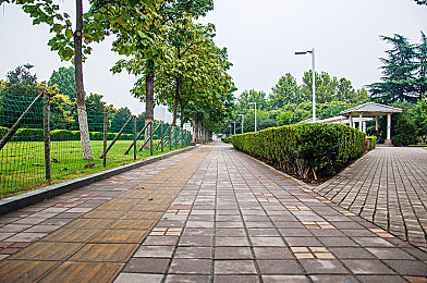 枫可怜被变态上司长腿OL在线：直播风云突变：主播枫可怜遭遇骚扰，行业监管亟待升级！