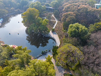 17.c吃瓜：瓜田秘境探奇，战神之路等你来闯-1