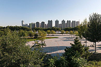 自由 管 隐藏 中国的隐：网络真相探秘：揭秘中国互联网的隐秘脉搏-3