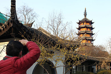 成品大香煮伊区一二三久：味蕾探险之旅：西南秘境大香煮伊区的美食传奇-4