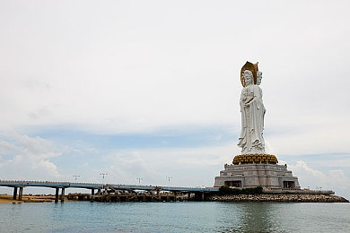 黄色搞鸡软件：网络清朗行动：揭秘“黄色搞鸡”软件，社会关注与监管加强-4