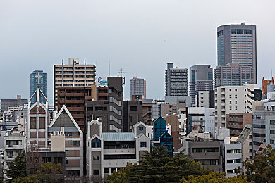 电车痴汉系列：都市电车谜影：揭秘神秘痴汉之谜-3
