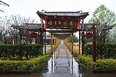 国精产品一码二码三m：溯源秘境，品质探险之旅-3