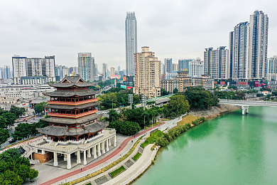 丁香五月色情：网络迷雾逐丁香，文明防线共守护