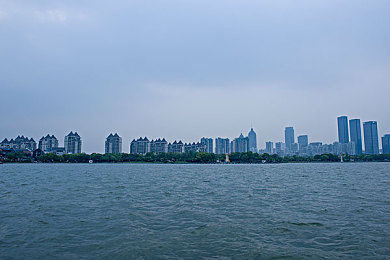 鸟娘通信：自然共鸣，科技交响——开启和谐沟通新篇章-4