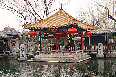爽 躁多水 快 深点快蘑菇视频：畅游奇幻蘑菇世界，轻松解锁酷炫技能——深度攻略解析-2