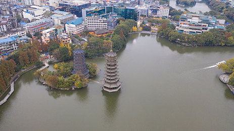 仙踪林company19免费：畅享优惠，美食狂欢，仙踪林盛宴来袭-3