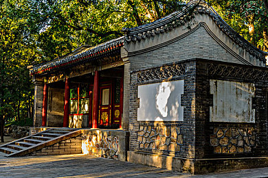 一区二区无码在线：揭秘一区二区优势：畅游无码游戏新天地，体验独家福利与高手竞技-3