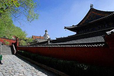 巜商务旅行女老板戴绿色帽的：女企业家绿帽风波：商务形象与个人隐私的职场思辨