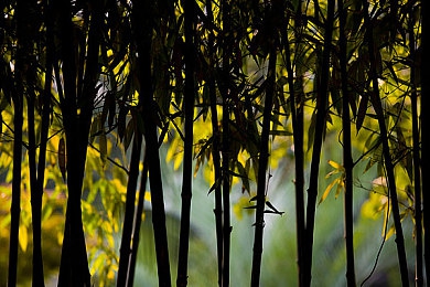 minecraft珍妮动画网站：虚拟世界新宠：动画新潮流，探索Minecraft无限魅力-3