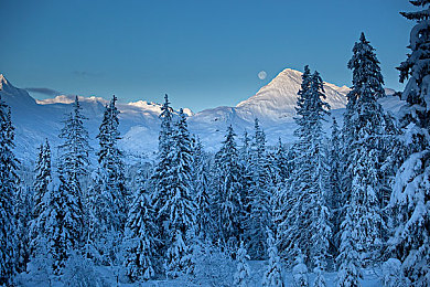 雪千夏：冰雪幻境惊心动魄，冬日冒险之旅《雪千夏》好评如潮-2