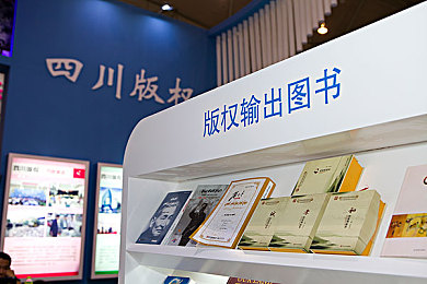 车辆颠簸后滑进去的应急措施：城市行车必备：掌握颠簸后滑行应对技巧，保障行车安全，轻松应对颠簸路！-2