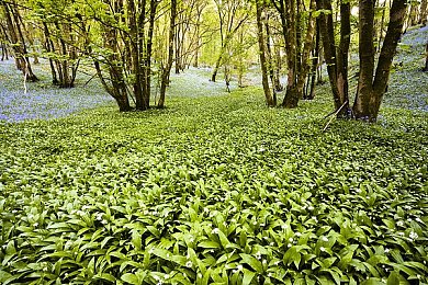 爽 躁多水 快 深点麻豆：畅游极致快感，探索无限魅力：揭秘游戏世界中的激情瞬间-1
