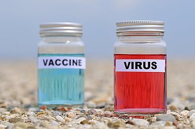 仙踪林视频入口欢迎您：虚拟仙境探秘之旅，高清视界等你来闯-4