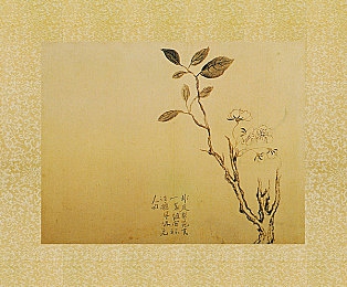 天美影视传媒广告制作流程：揭秘创意魅力，打造视觉盛宴——探秘高品质广告制作之旅-5
