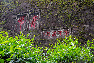 东方影库存1800wm能回来吗：光影重逢，东方影库1800wm：再现经典，视觉盛宴新篇章-2