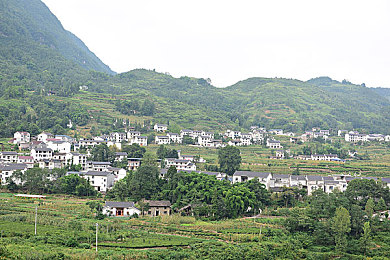 流氓软件aPP下载大全兔费：安全护航，APP乐园：揭秘免费下载陷阱，守护手机生活-2