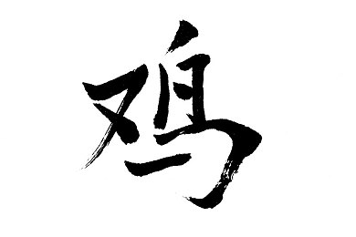 md传媒官方下载入口：数字化转型新篇章，md传媒开启新媒体便捷新纪元-2