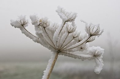 久久色网站：新趋势引领：综合性文化平台“久久色”探索网络文化新篇章-4