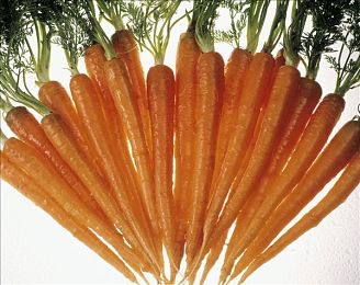 腾讯涩漫 黄漫：奇幻动漫盛宴，腾讯涩漫创潮先锋-1