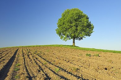 91精东：电竞新星“91精东”闪耀全球，我国电竞产业前景无限-2
