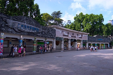 蝶恋花app：心花怒放，缘起蝶恋浪漫之旅-2