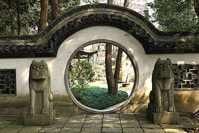 世界十大污软件：笑翻全球：揭秘趣味软件十大奇遇-2