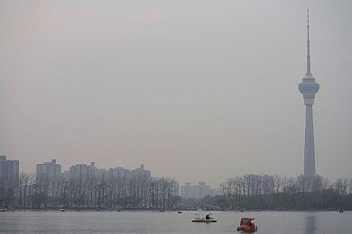 丁香五月六月：浪漫花海探秘之旅-5