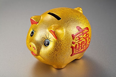 猫咪社区3.0：猫咪乐园，宠物文化新潮流汇聚地-4