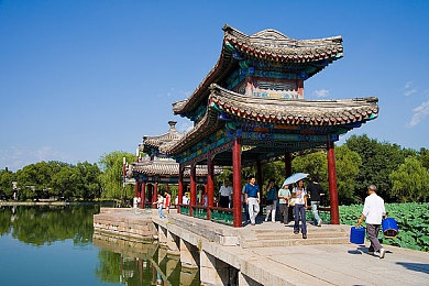 摘花,自由,娇小：都市小花：娇躯蕴藏力量，摘取生活之花，追寻自由之梦-2