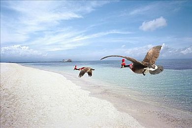商务旅行女老板戴绿的帽子：商务女老板出差婚外情风波：道德争议与职业操守引热议-3