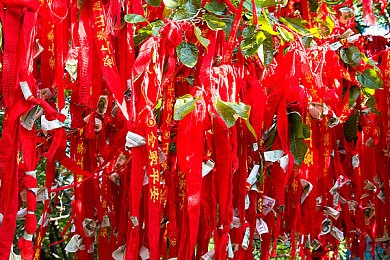 成人类视频在线服务网站：揭秘网络娱乐新趋势：探寻成人视频平台的发展奥秘与用户安全指南-1