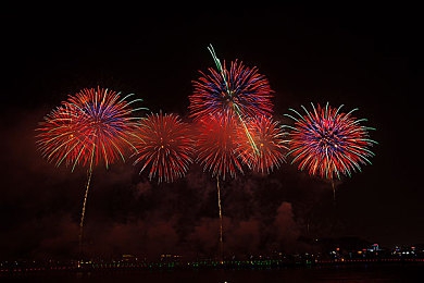 梦莹伟忠回乡祭祖第17集：文化传承情牵故里，梦莹伟忠续写祭祖佳话-4
