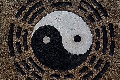 凤凰卫视资讯台：权威速递，热点剖析：深度解析凤凰卫视资讯台报道新亮点-3