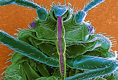 英语老师的胸：教学魅力揭秘：以独特风采点燃英语课堂激情-3