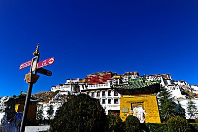 富二代app无限解锁版大小：畅游富二代，解锁无限魅力，大小随心所欲，体验非凡盛宴-4