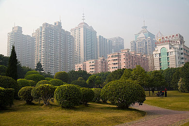 久久99精品久久久久久国产越南：中越携手，文化交融，经济繁荣，旅游兴旺，共创美好未来-3
