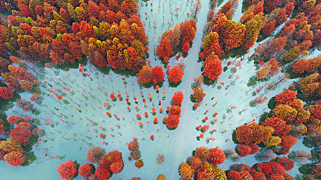 免费3D强 斗破苍穹人物游戏：斗破苍穹3D世界探秘：免费强作畅游巅峰体验解析-4
