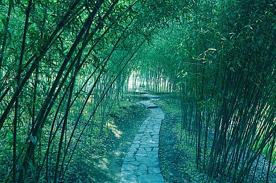 葫芦里面不买药千万一片你需要huluwa官方破能版：探寻葫芦秘境，揭秘Huluwa官方神器的神秘力量-4