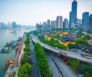 BT天堂资源种子在线：网海探宝，版权守护，共享新天地-4