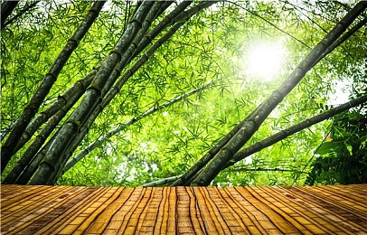b站在线观看：乐享动漫游戏科技，B站开启全新在线观看盛宴-3